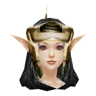 Rune Pad Helm